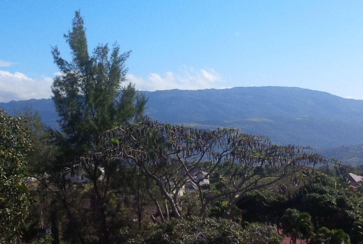 Twelfth image of 6 Orange Avenue Mandeville in Mandeville, Manchester, Jamaica - property is For Rent