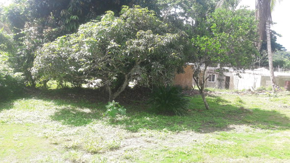Fourth image of 14 Adelphi Gardens in ADELPHI GARDEN, St. James, Jamaica - property is For Rent