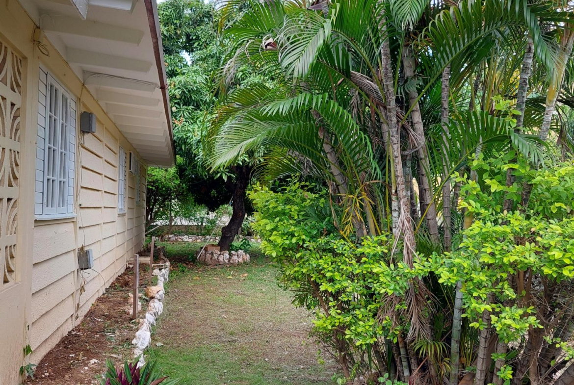 Twenty-Ninth image of 2 Liguanea Place in Kingston 6, St. Andrew, Jamaica - property is For Rent
