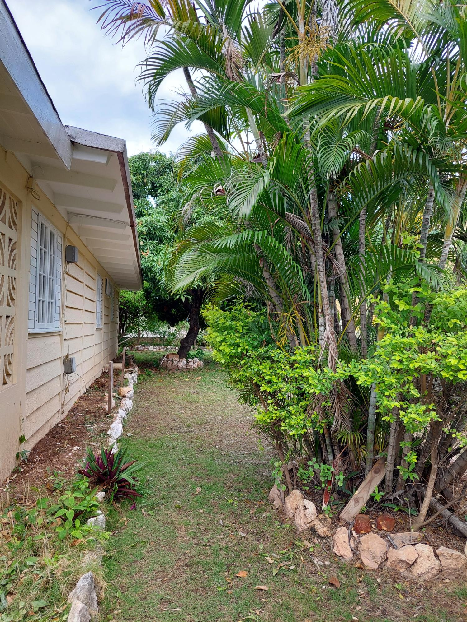 Spacious-4-Bedroom-House-for-Rent-in-Liguanea-St.-Andrew-Jamaica Twenty-Ninth image of 2 Liguanea Place in Kingston 6, St. Andrew, Jamaica - property is For Rent