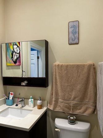 Twenty-Ninth image of 46 Palm Dr, Tara Estates, re in Reading, St. James, Jamaica - property is For Rent