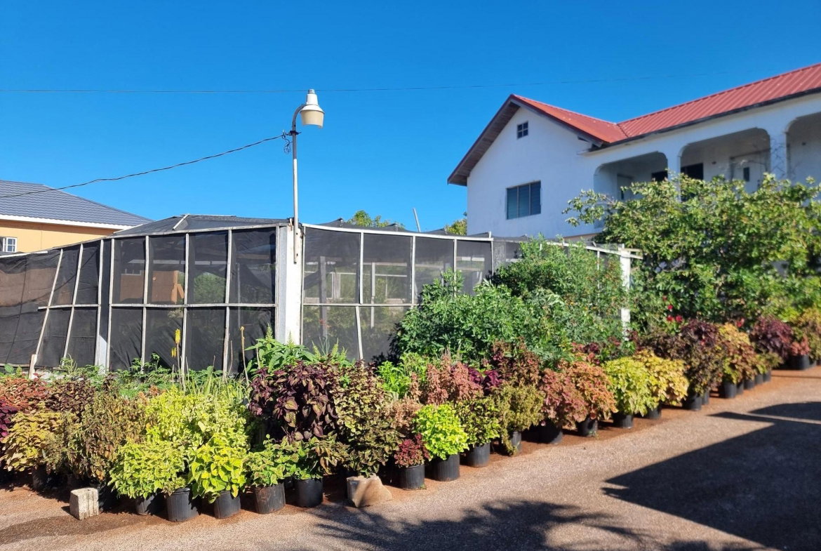 Second image of Bellevue, Southfield, St. in Bellevue, St. Elizabeth, Jamaica - property is For Sale