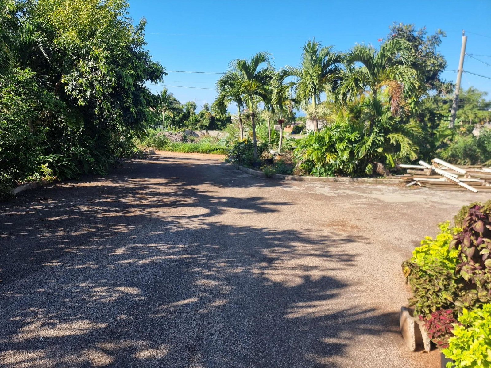 Sixth image of Bellevue, Southfield, St. in Bellevue, St. Elizabeth, Jamaica - property is For Sale