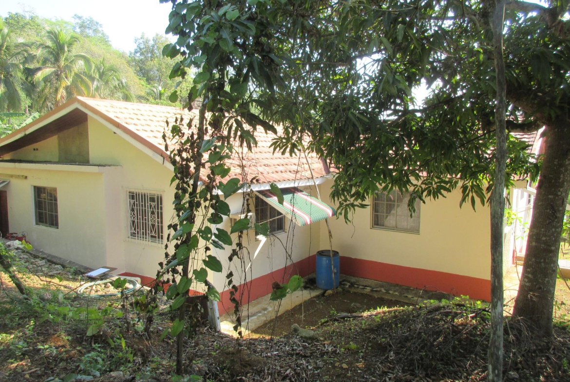 Sixth image of 12 Castleton Meadows in Balaclava, St. Elizabeth, Jamaica - property is For Sale