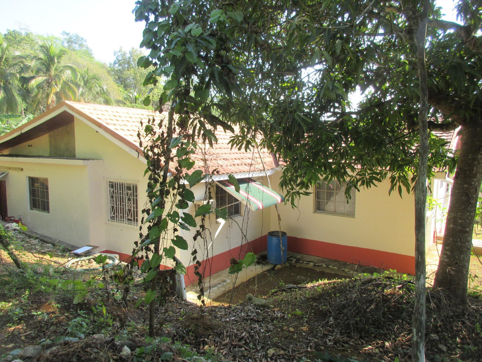 Spacious-4-Bedroom-House-for-Sale-in-Castleton-Meadows-St.-Elizabeth-Jamaica Sixth image of 12 Castleton Meadows in Balaclava, St. Elizabeth, Jamaica - property is For Sale