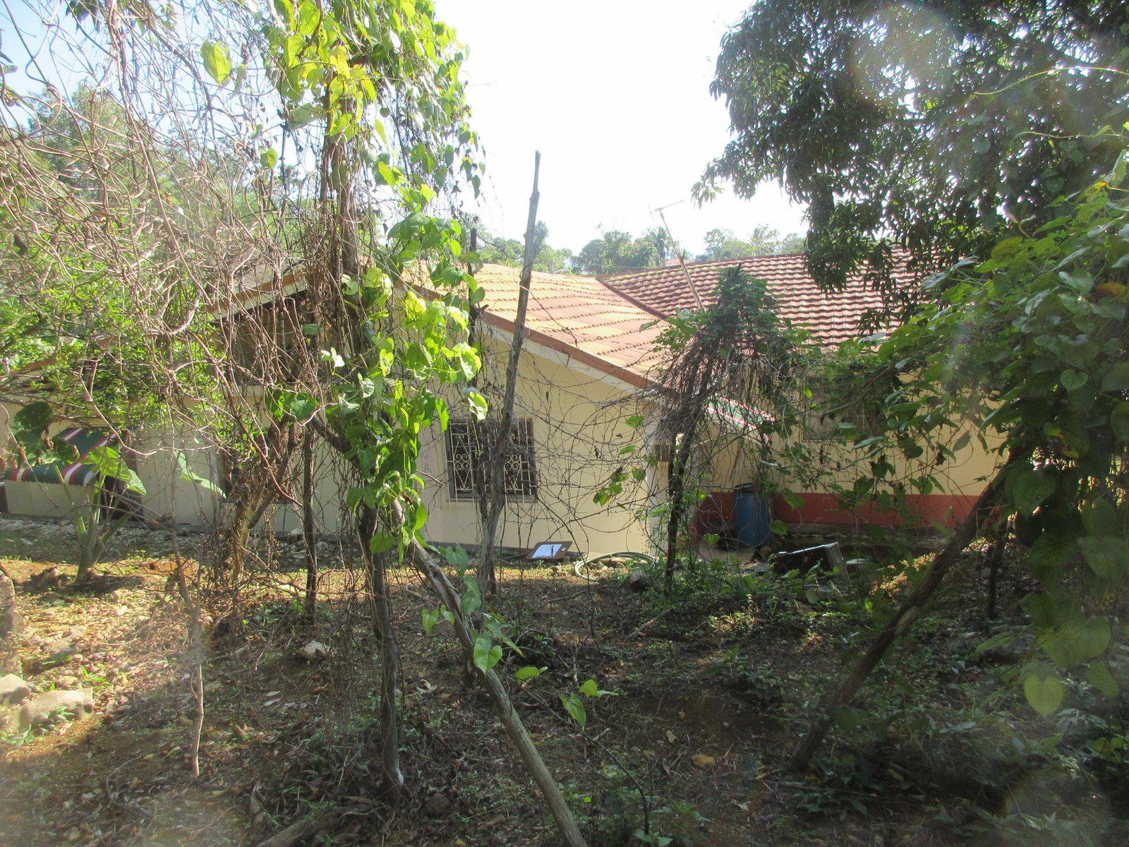 Spacious-4-Bedroom-House-for-Sale-in-Castleton-Meadows-St.-Elizabeth-Jamaica Seventh image of 12 Castleton Meadows in Balaclava, St. Elizabeth, Jamaica - property is For Sale