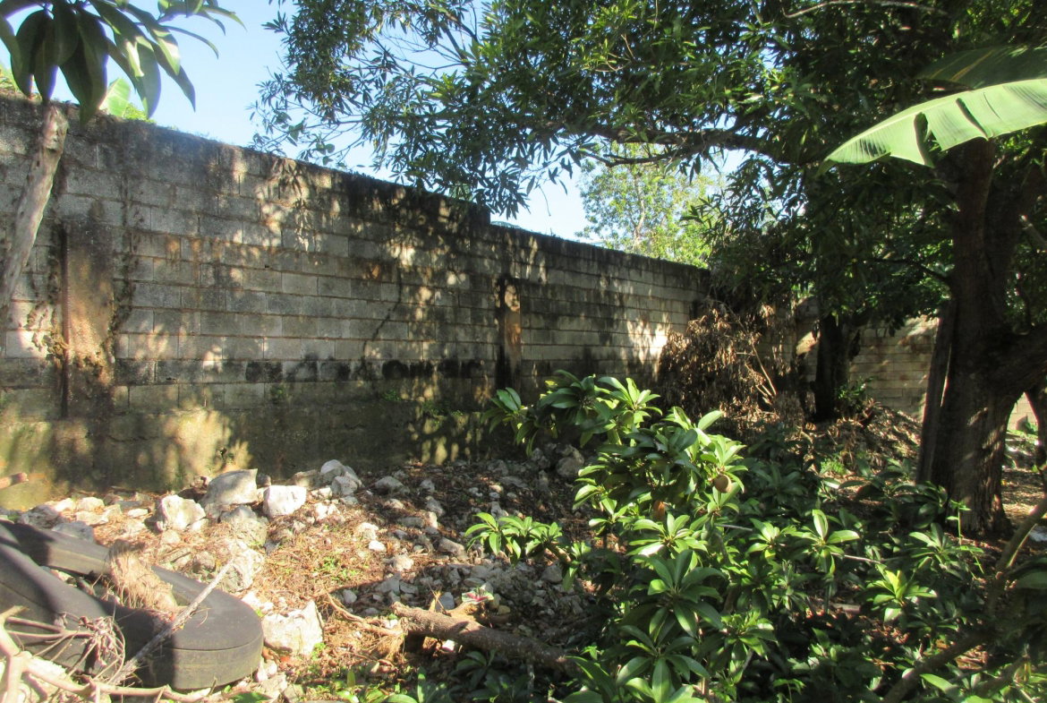 Eighth image of 12 Castleton Meadows in Balaclava, St. Elizabeth, Jamaica - property is For Sale