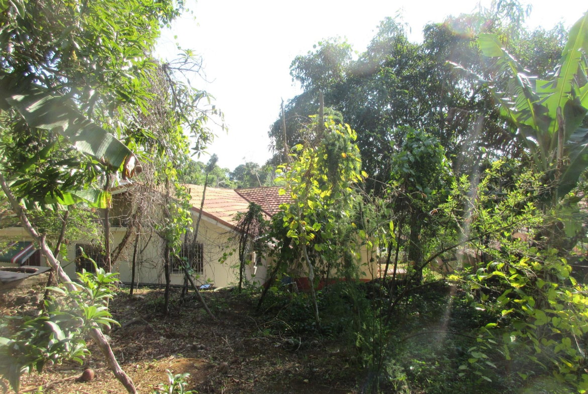 Ninth image of 12 Castleton Meadows in Balaclava, St. Elizabeth, Jamaica - property is For Sale