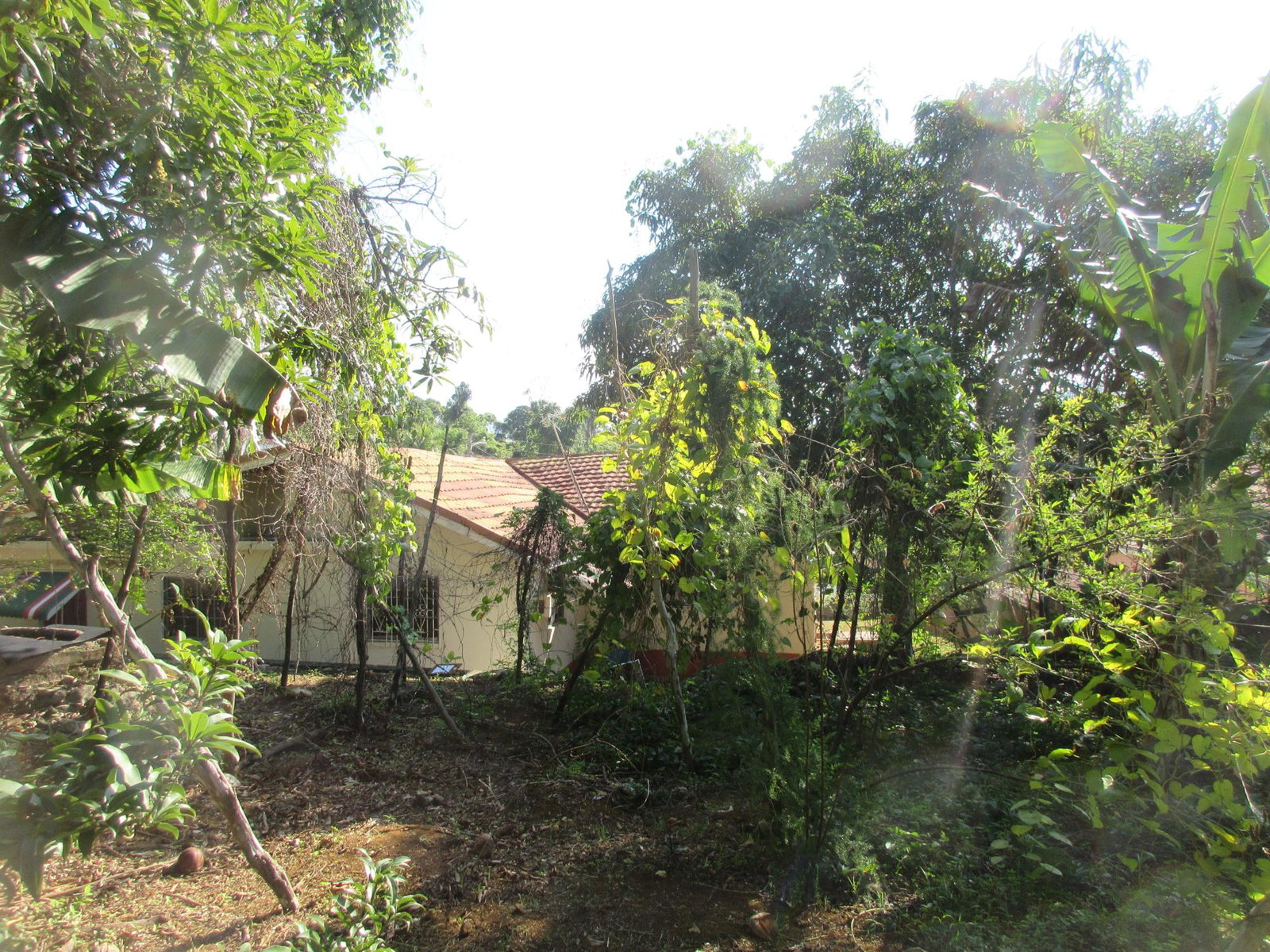 Spacious-4-Bedroom-House-for-Sale-in-Castleton-Meadows-St.-Elizabeth-Jamaica Ninth image of 12 Castleton Meadows in Balaclava, St. Elizabeth, Jamaica - property is For Sale