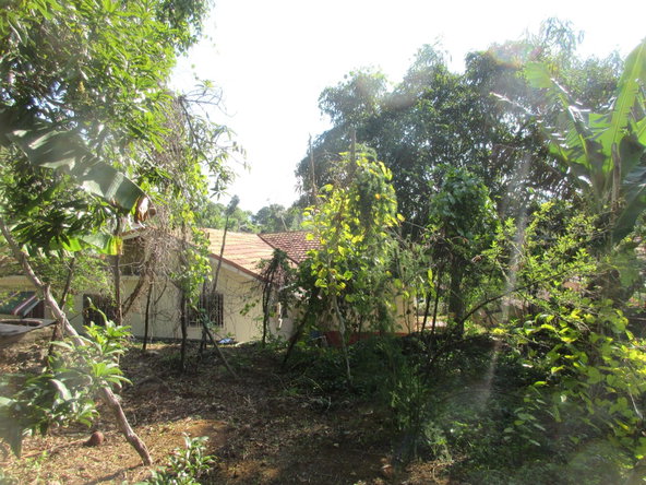Ninth image of 12 Castleton Meadows in Balaclava, St. Elizabeth, Jamaica - property is For Sale