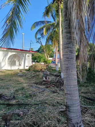 Eighth image of 291 Ensom Acres Drive in Ensom City, St. Catherine, Jamaica - property is For Sale