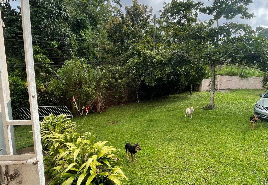 Fourth image of Lot 5 Woodlawn rd in Mandeville, Manchester, Jamaica - property is For Sale