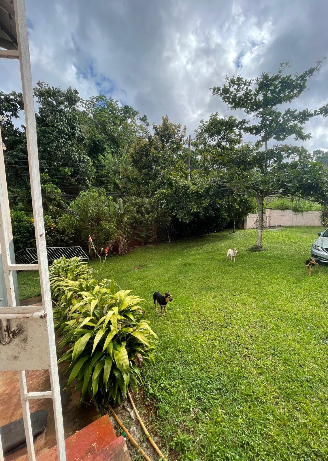 Fourth image of Lot 5 Woodlawn rd in Mandeville, Manchester, Jamaica - property is For Sale