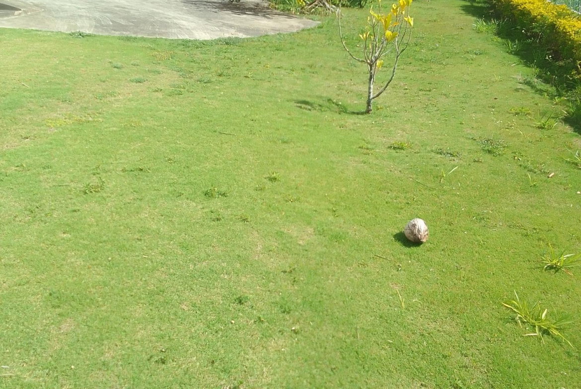 Fifth image of 1 Knowles Road, Mandeville, in Mandeville, Manchester, Jamaica - property is For Sale