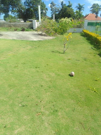 Fifth image of 1 Knowles Road, Mandeville, in Mandeville, Manchester, Jamaica - property is For Sale