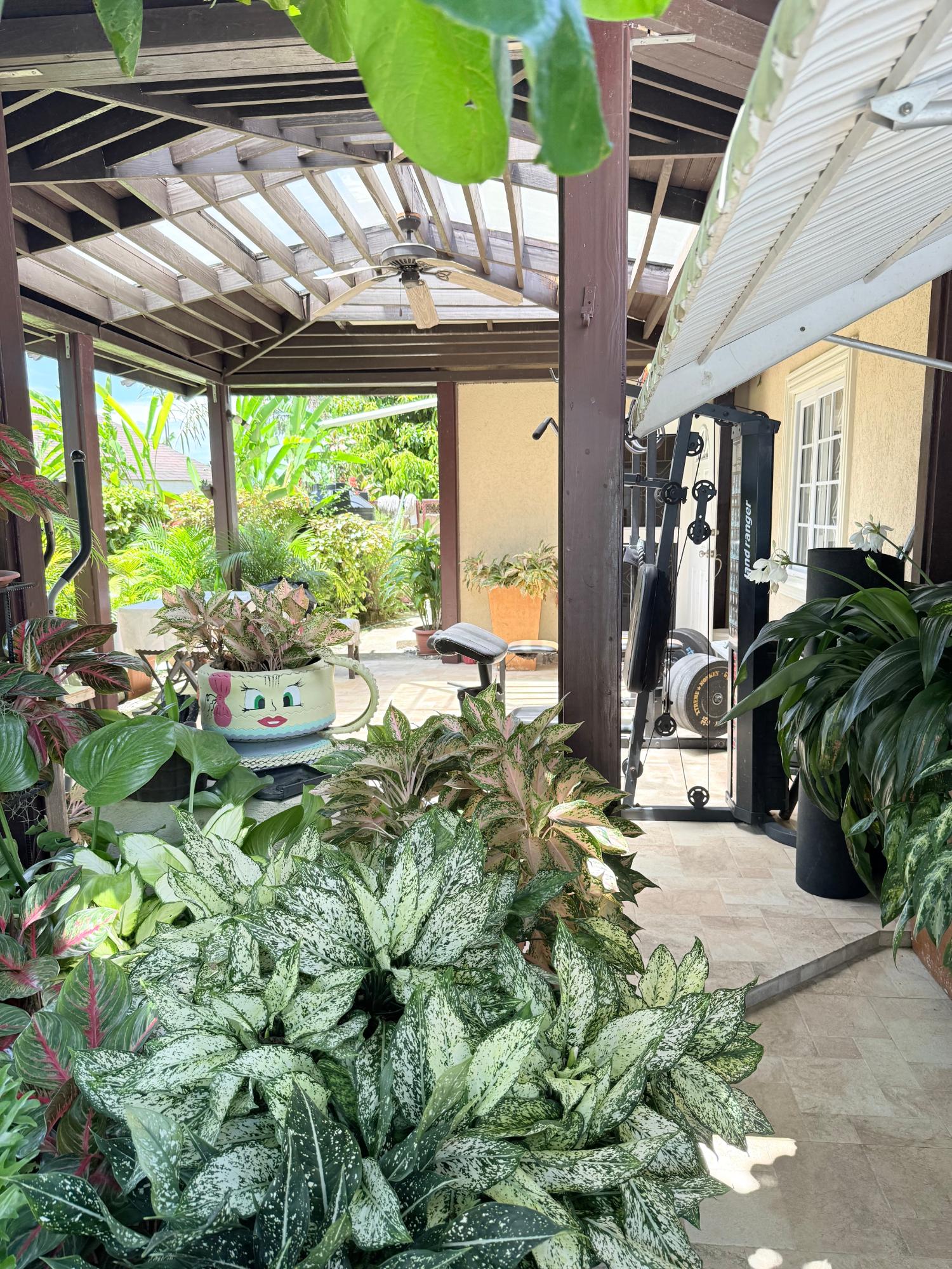 Twenty-Second image of Lot 1454- Bogue Village in Bogue Village, St. James, Jamaica - property is For Sale