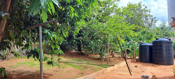 Twenty-Sixth image of 4 Hanbury in Hanbury, Manchester, Jamaica - property is For Sale