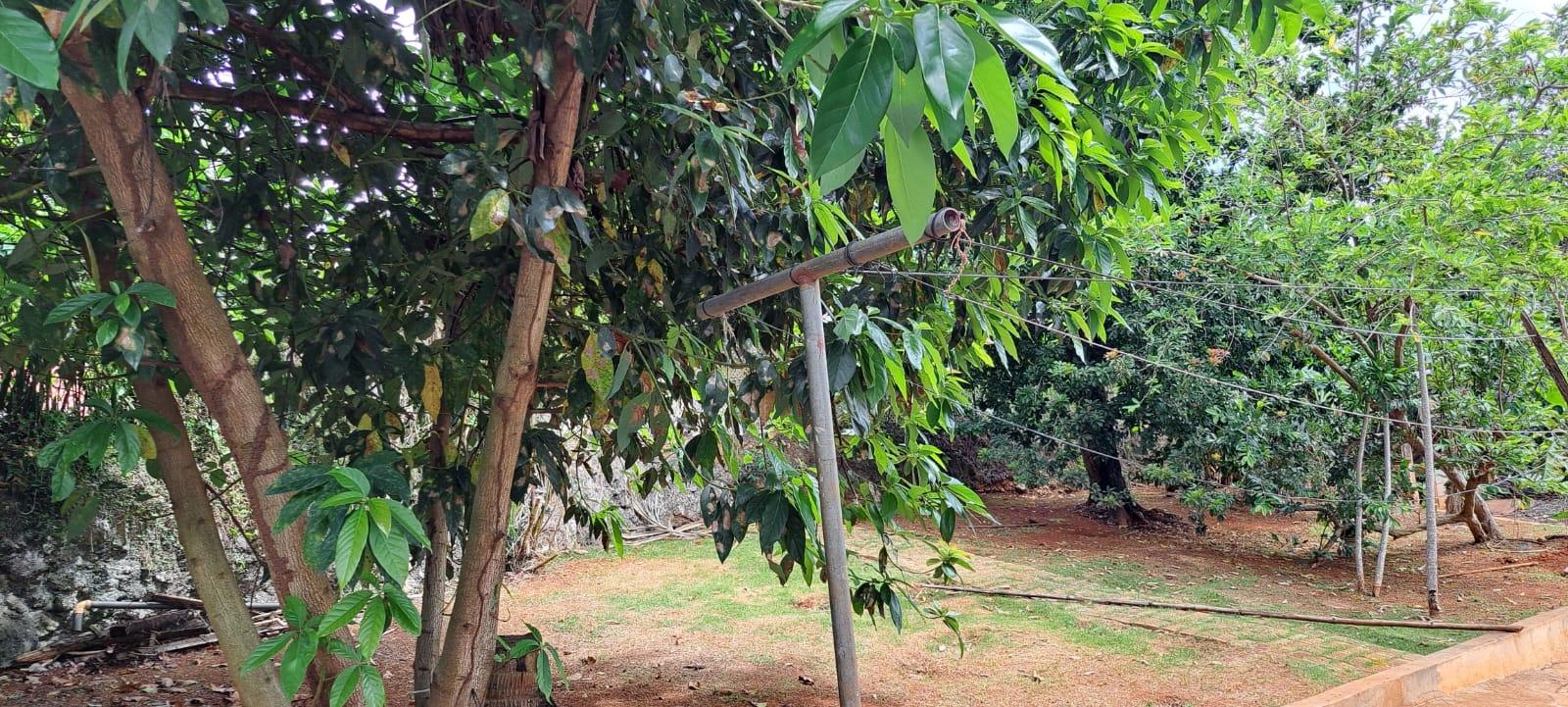 Twenty-Seventh image of 4 Hanbury in Hanbury, Manchester, Jamaica - property is For Sale