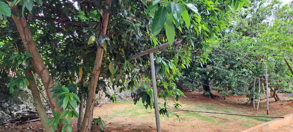 Twenty-Seventh image of 4 Hanbury in Hanbury, Manchester, Jamaica - property is For Sale