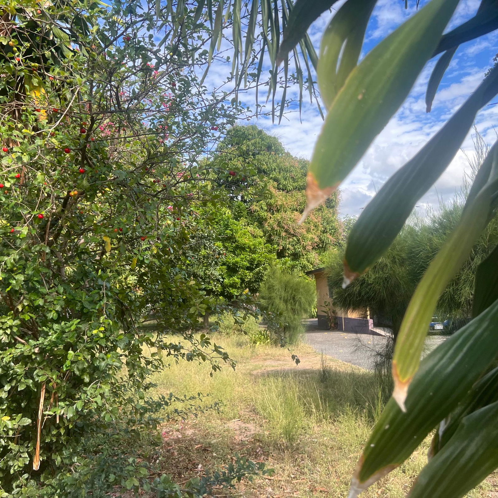 Seventh image of Dukharan Avenue in Kingston 8, St. Andrew, Jamaica - property is For Sale
