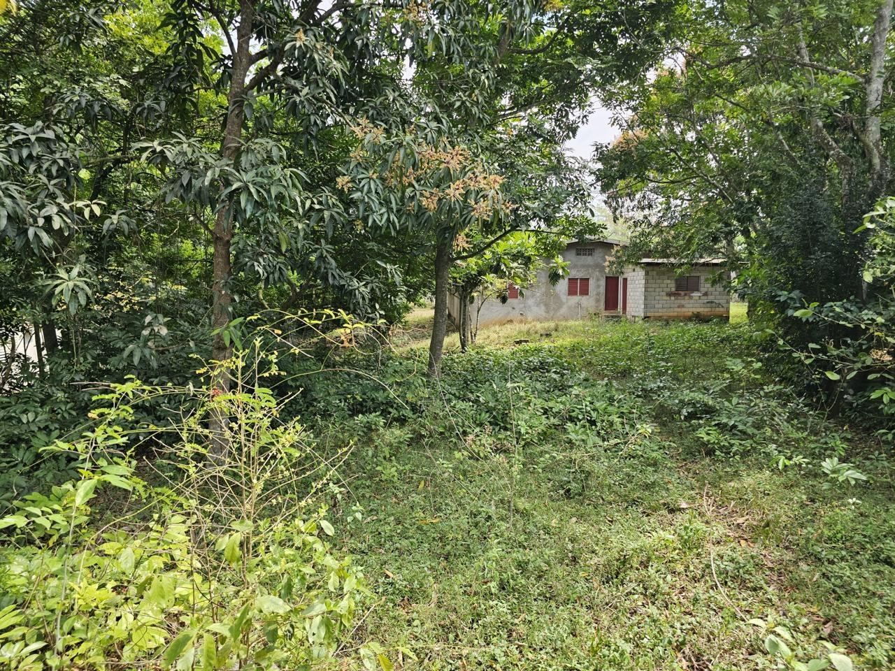 Sixth image of Byndloss Linstead in Linstead, St. Catherine, Jamaica - property is For Sale