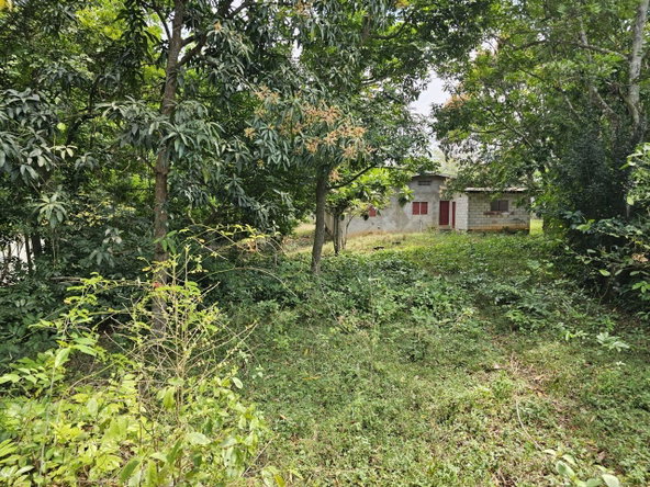 Sixth image of Byndloss Linstead in Linstead, St. Catherine, Jamaica - property is For Sale