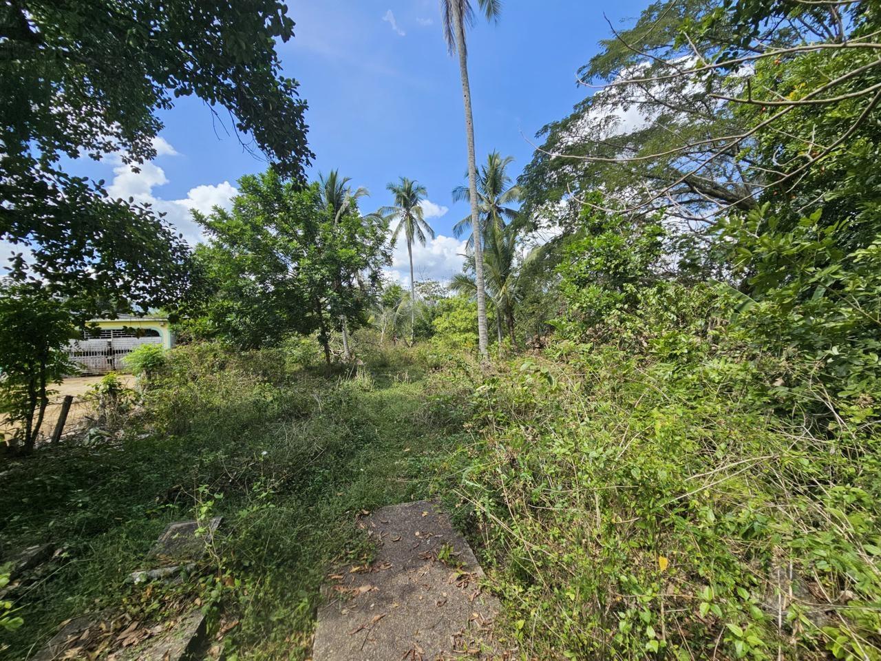 Seventh image of Byndloss Linstead in Linstead, St. Catherine, Jamaica - property is For Sale