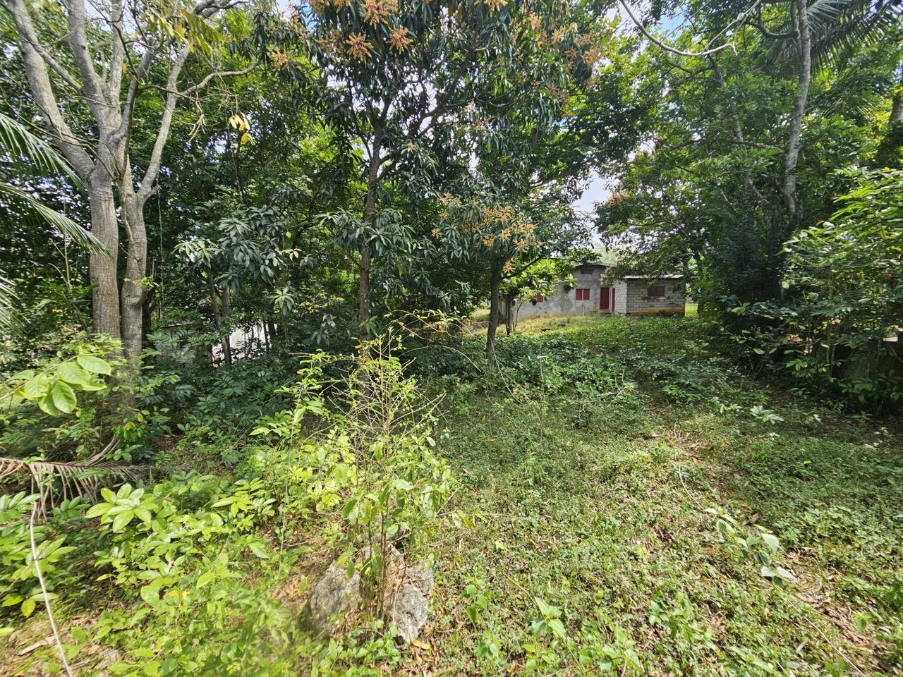 Eighth image of Byndloss Linstead in Linstead, St. Catherine, Jamaica - property is For Sale