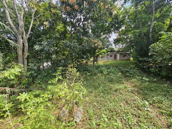 Eighth image of Byndloss Linstead in Linstead, St. Catherine, Jamaica - property is For Sale
