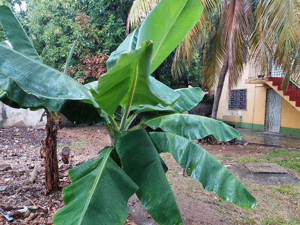 Twenty-Fourth image of 16 Constant Spring Grove in Kingston 8, St. Andrew, Jamaica - property is For Sale