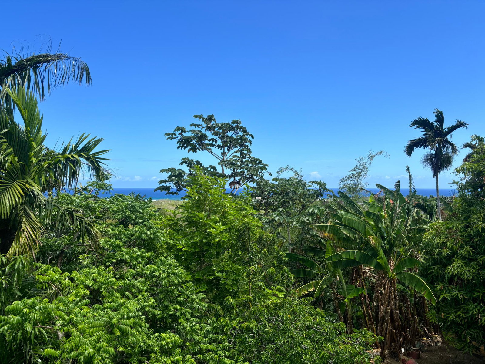 Eleventh image of 4-462 Dorchester Drive in Ironshore, St. James, Jamaica - property is For Rent