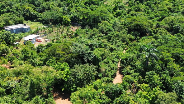 Eleventh image of 44- Puie Drive, Cardiff Hall in Runaway Bay, St. Ann, Jamaica - property is For Sale