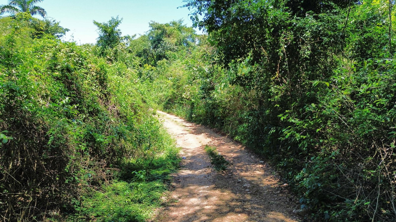 Thirteenth image of 44- Puie Drive, Cardiff Hall in Runaway Bay, St. Ann, Jamaica - property is For Sale