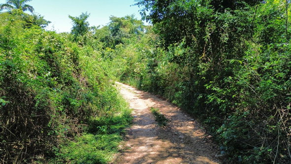 Thirteenth image of 44- Puie Drive, Cardiff Hall in Runaway Bay, St. Ann, Jamaica - property is For Sale