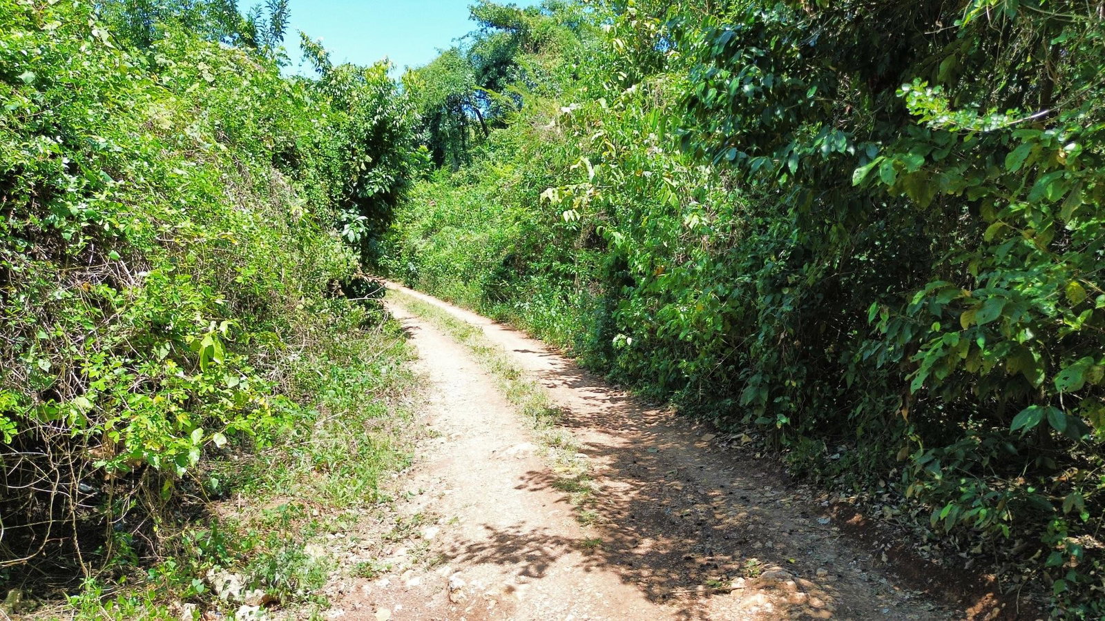 Fourteenth image of 44- Puie Drive, Cardiff Hall in Runaway Bay, St. Ann, Jamaica - property is For Sale