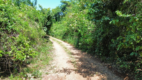 Fourteenth image of 44- Puie Drive, Cardiff Hall in Runaway Bay, St. Ann, Jamaica - property is For Sale