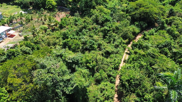 Third image of 44- Puie Drive, Cardiff Hall in Runaway Bay, St. Ann, Jamaica - property is For Sale