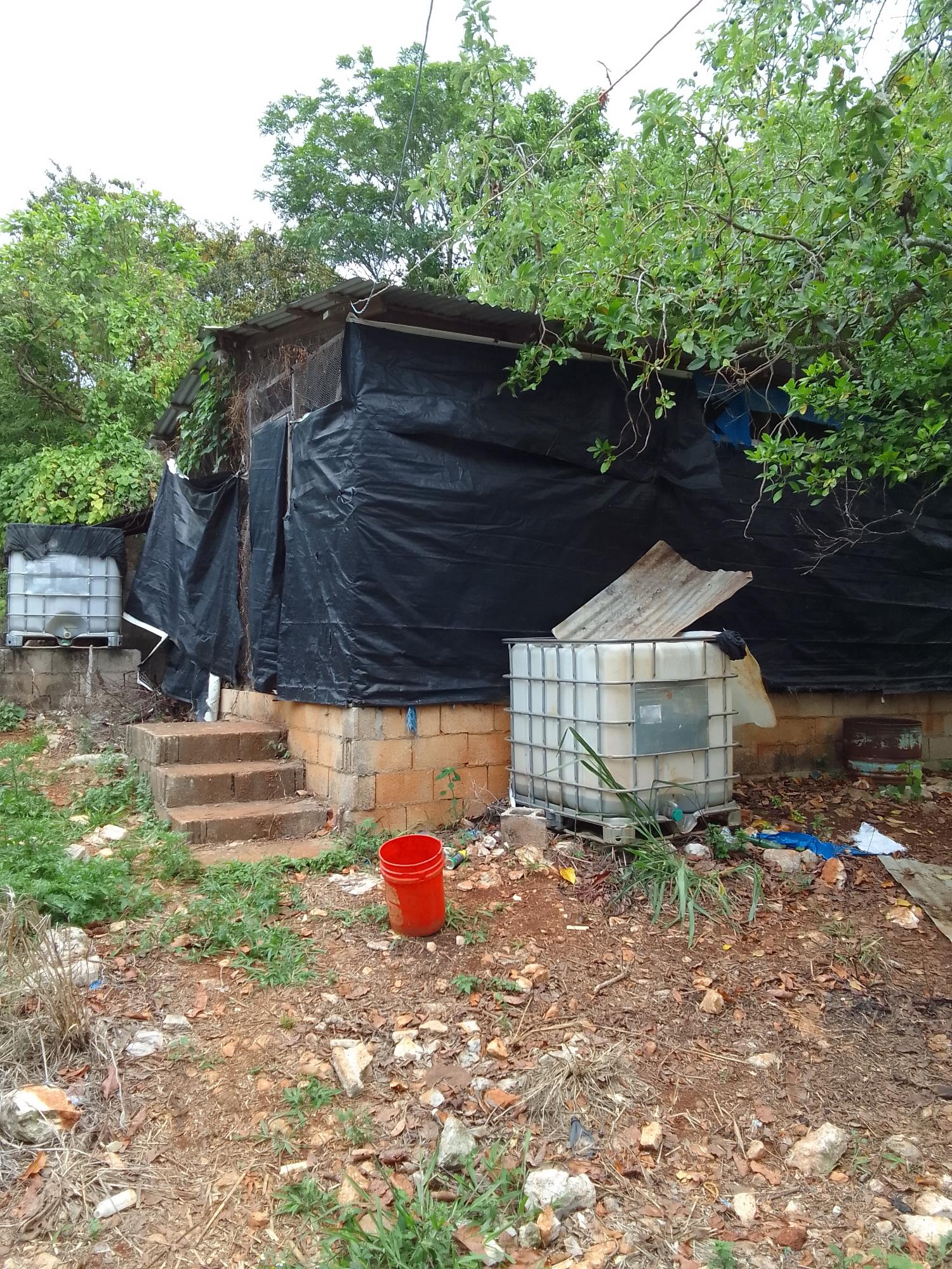 Twelfth image of Part of Richmond Park Cal in Mocho, Clarendon, Jamaica - property is For Sale