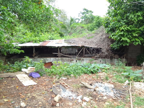 Fourteenth image of Part of Richmond Park Cal in Mocho, Clarendon, Jamaica - property is For Sale