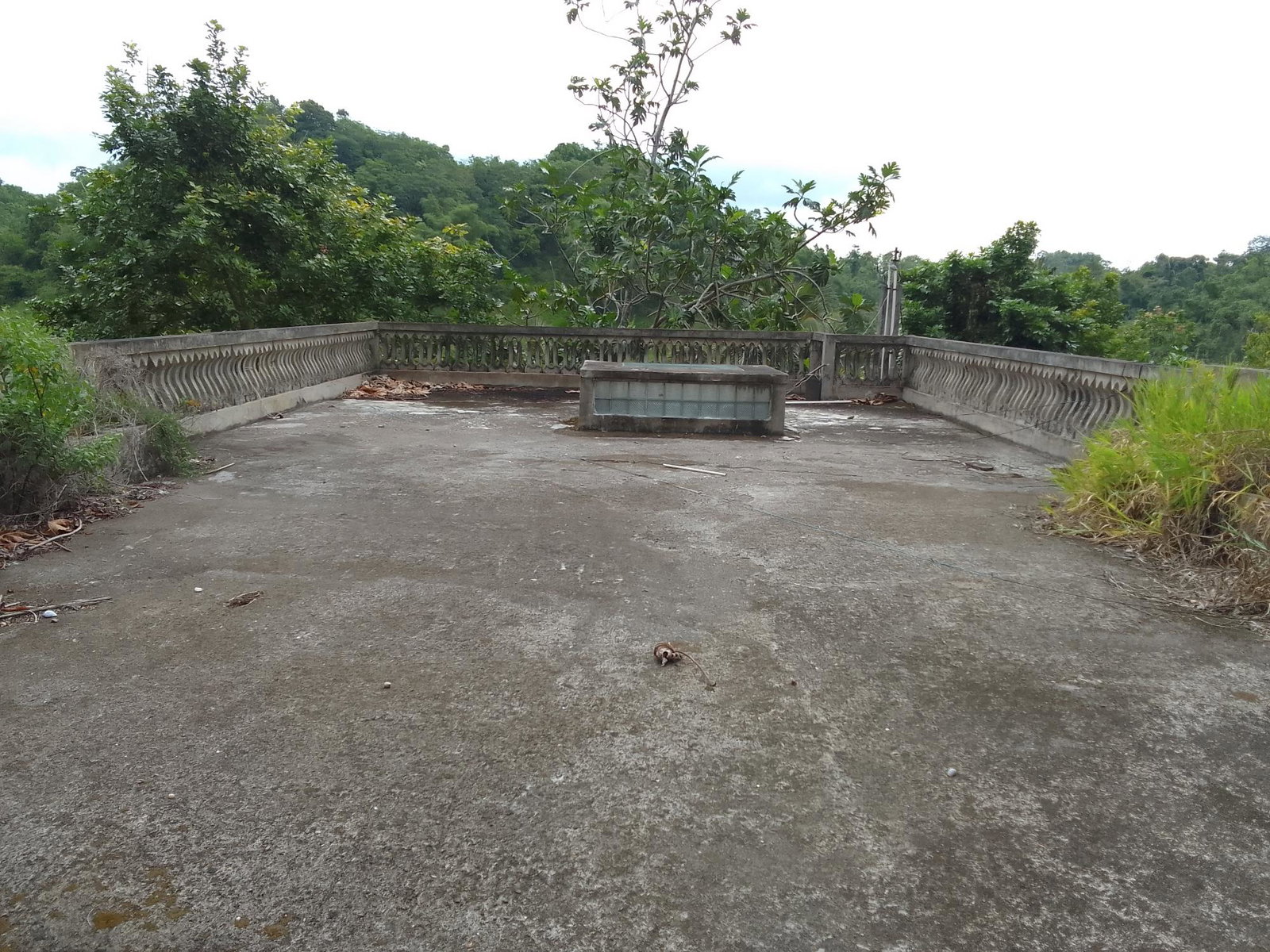 Tenth image of Part of Richmond Park Cal in Mocho, Clarendon, Jamaica - property is For Sale