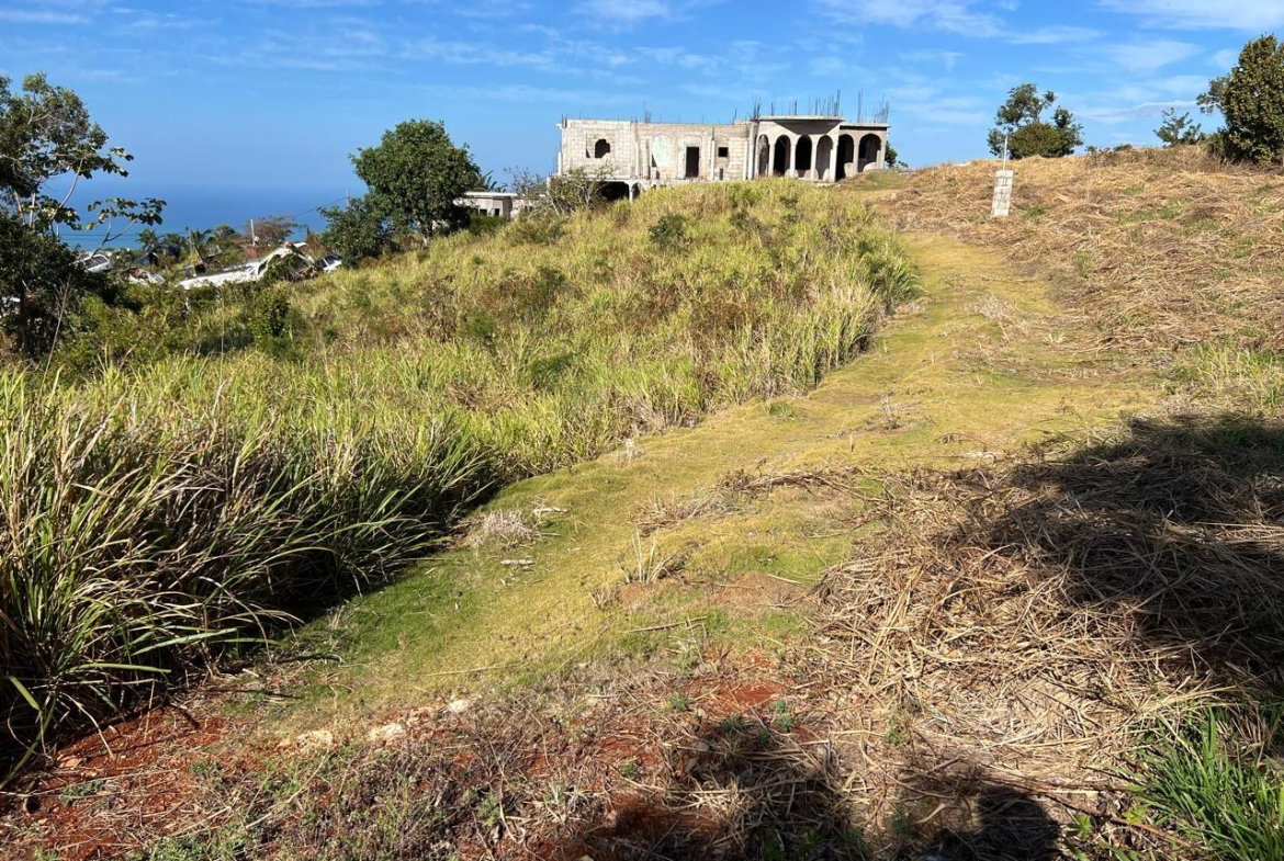 Fifth image of Southfield P.o. in Southfield, St. Elizabeth, Jamaica - property is For Sale