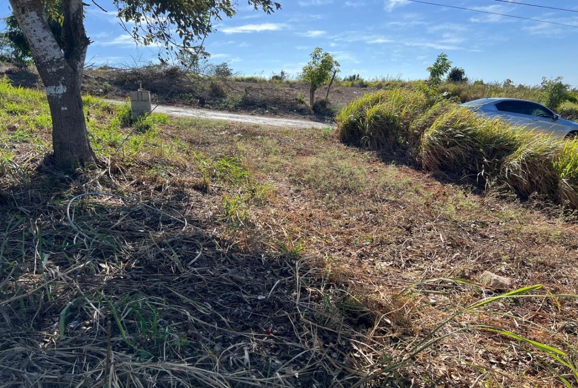 Sixth image of Southfield P.o. in Southfield, St. Elizabeth, Jamaica - property is For Sale