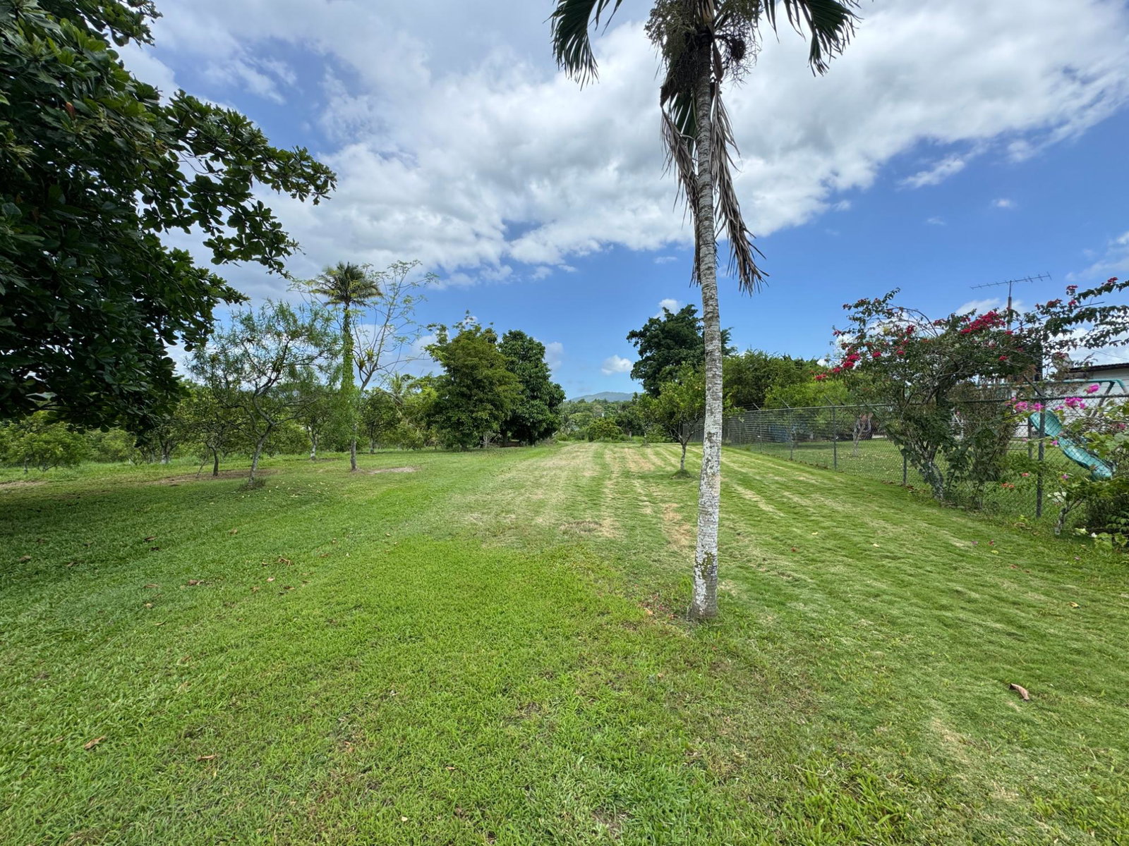 Second image of Banbury District in Banbury, St. Catherine, Jamaica - property is For Sale