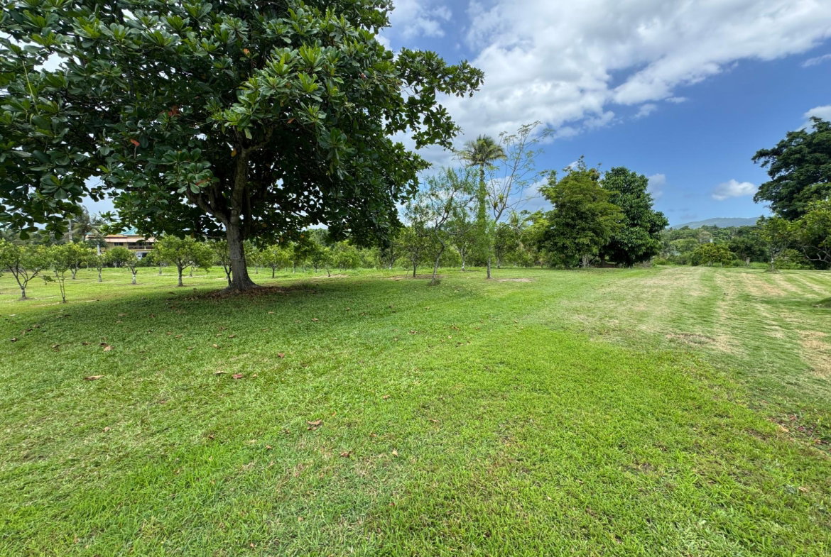 Twenty-Ninth image of Banbury District in Banbury, St. Catherine, Jamaica - property is For Sale