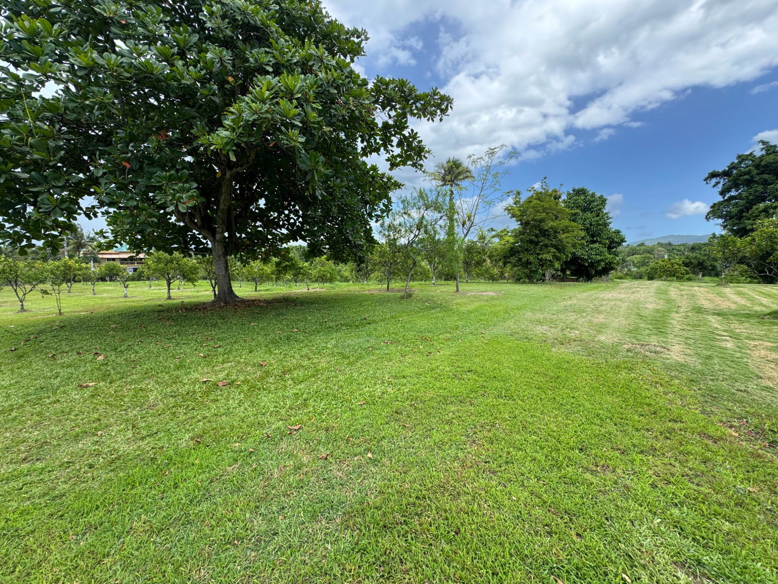 Twenty-Ninth image of Banbury District in Banbury, St. Catherine, Jamaica - property is For Sale
