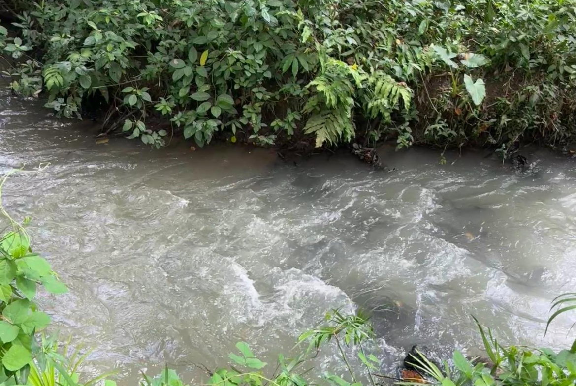 Thirtieth image of Banbury District in Banbury, St. Catherine, Jamaica - property is For Sale