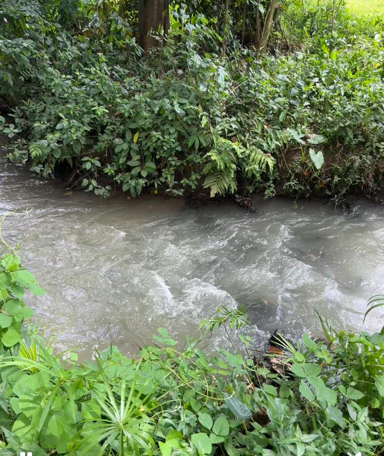 Thirtieth image of Banbury District in Banbury, St. Catherine, Jamaica - property is For Sale