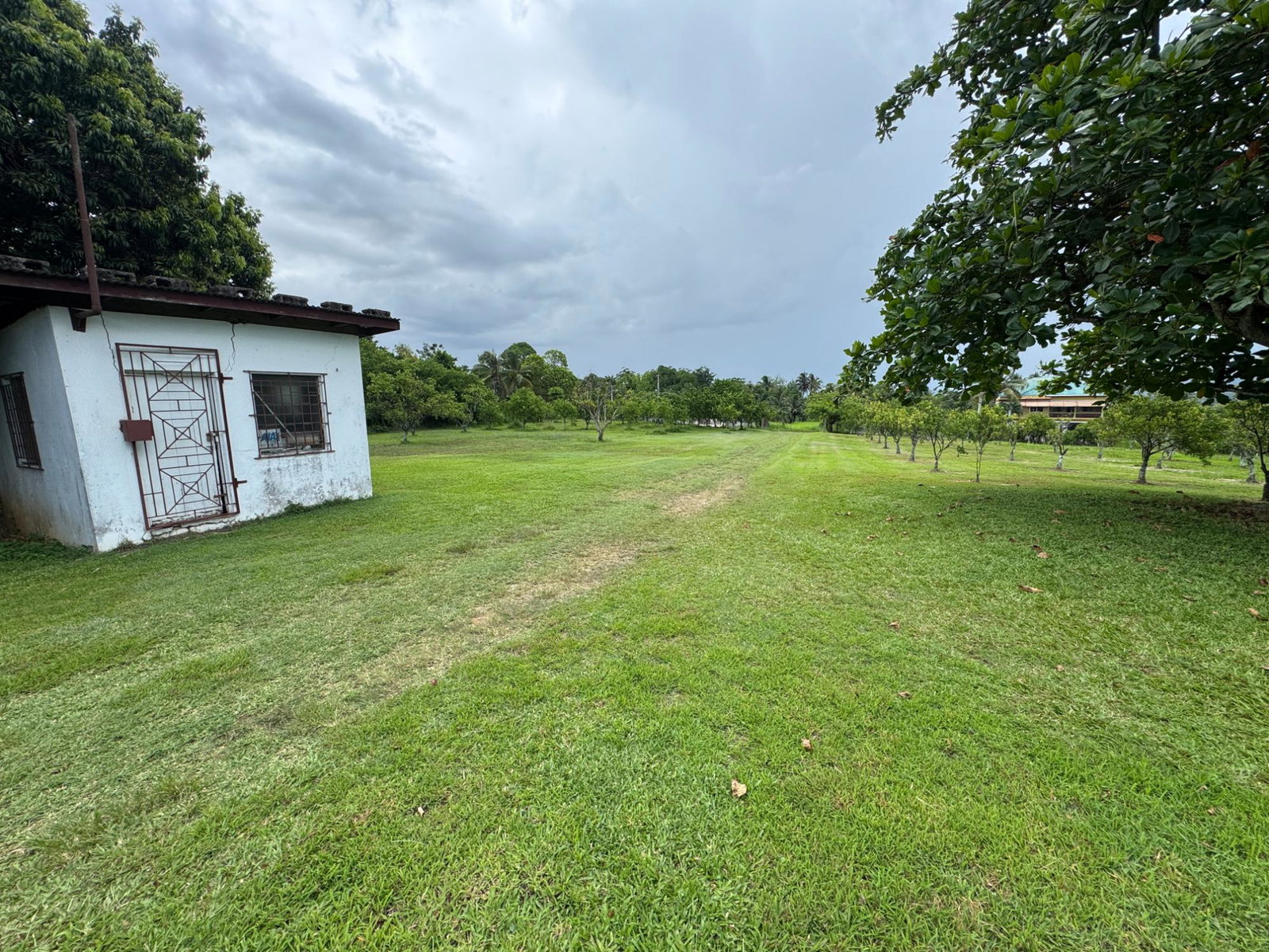 Fifth image of Banbury District in Banbury, St. Catherine, Jamaica - property is For Sale