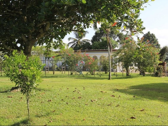 First image of Banbury District in Banbury, St. Catherine, Jamaica - property is For Sale