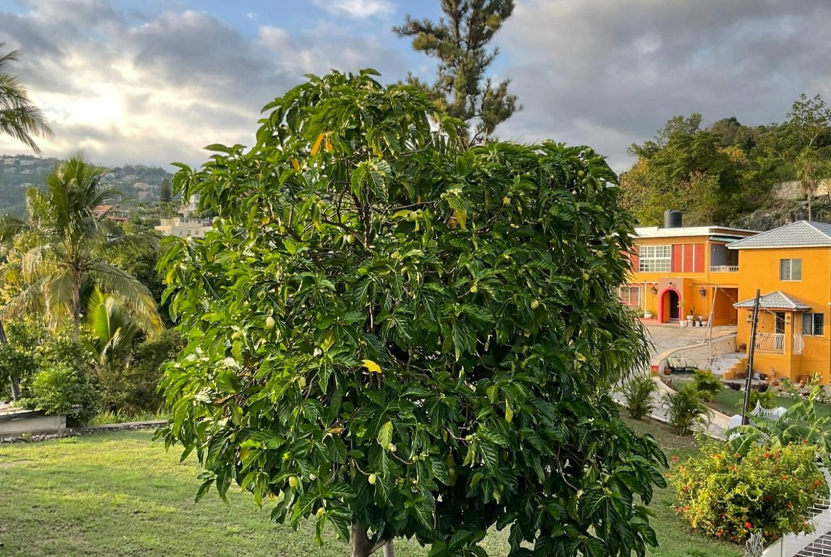 Twenty-Eighth image of Rockhampton Drive in Kingston 8, St. Andrew, Jamaica - property is For Sale